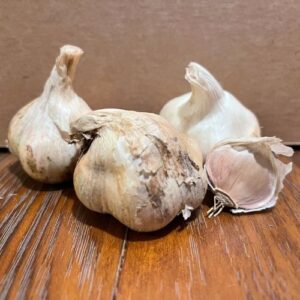 Buy Ccof Organic Inchelium Red Garlic Seed - Basaltic Farms