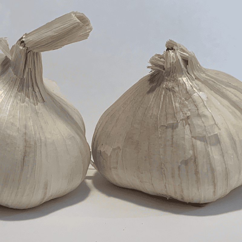 Organic Inchelium Red Garlic Seed For Planting - Basaltic Farms