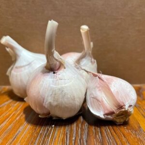 Buy Ccof Organic Chesnok Red Garlic Seed - Basaltic Farms