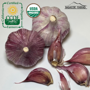 California Certified Organic Farmers - Buy Usda Organic Chesnok Red Garlic - Basaltic Farms