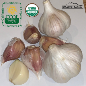California Certified Organic Farmers - Buy Usda Organic Music Garlic - Basaltic Farms