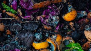 Composting Tips &Amp; Tricks - Organic Farming - Basaltic Farms
