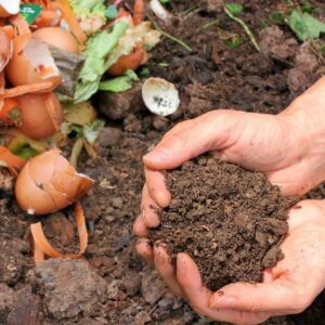 What Is Compost - Organic Garlic Farm - Basaltic Farms