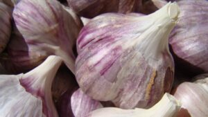 Buy Certified Organic Inchelium Red Garlic Seeds - Basaltic Farms