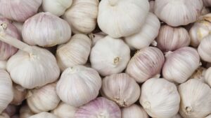 Certified Organic Garlic Seed - Basaltic Farms