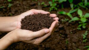 How Organic Composting Works - Basaltic Farms