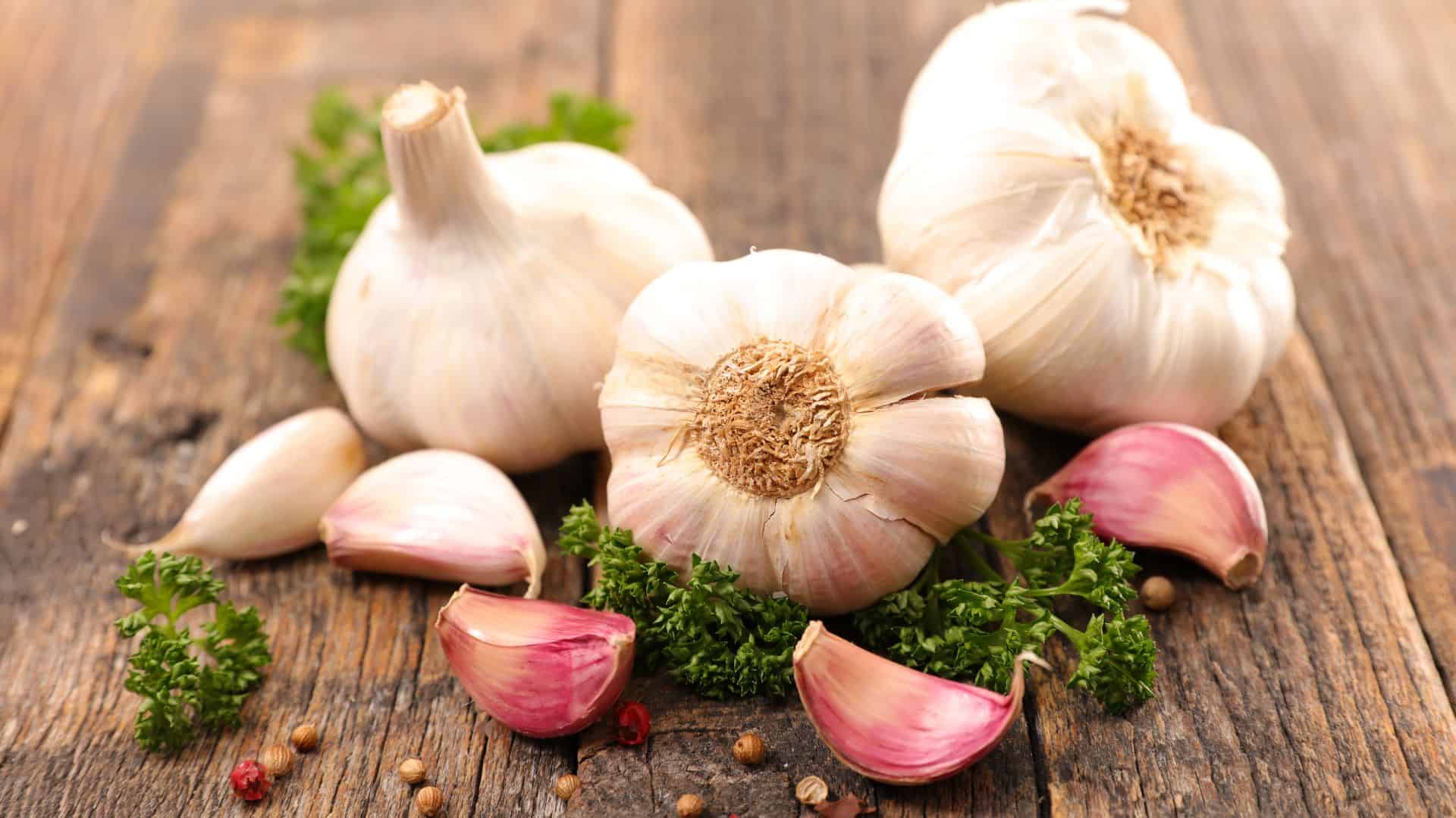 Health Benefits Of Garlic Ca Organic Raw Garlic