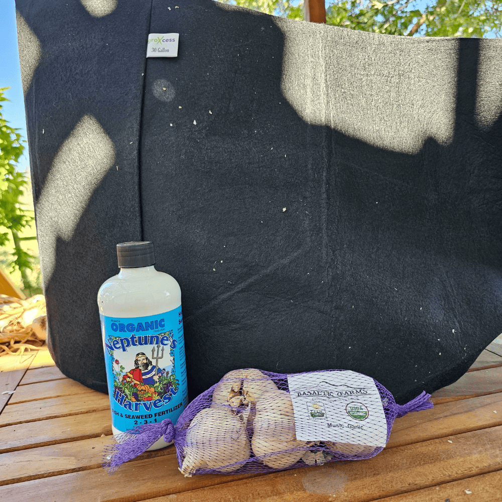 Organic Garlic Grow Kit Basaltic Farms