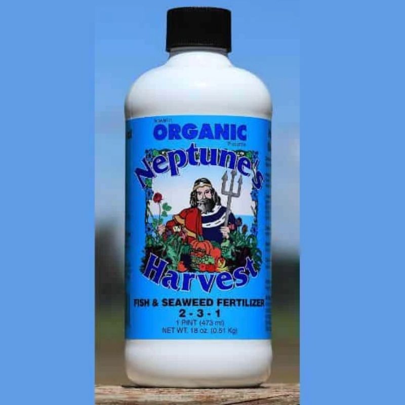 Fish Seaweed Blend One Pint 2 3 1 Organic Fertilizer Basaltic Farms