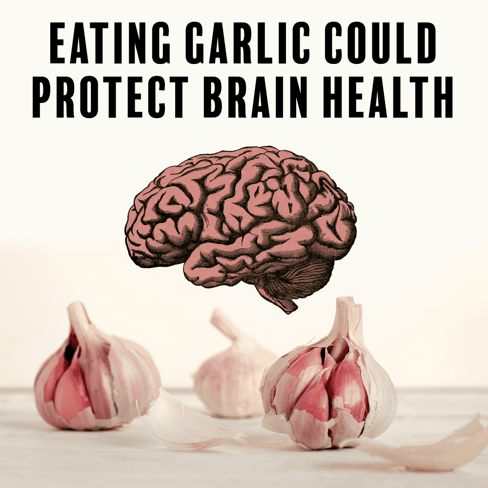 How Do You Improve Soil Health Ccof Certified Usda Organic Garlic Basaltic Farms 500X500 1
