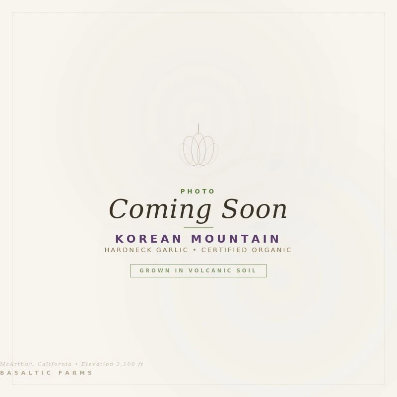 Korean Mountain Coming Soon